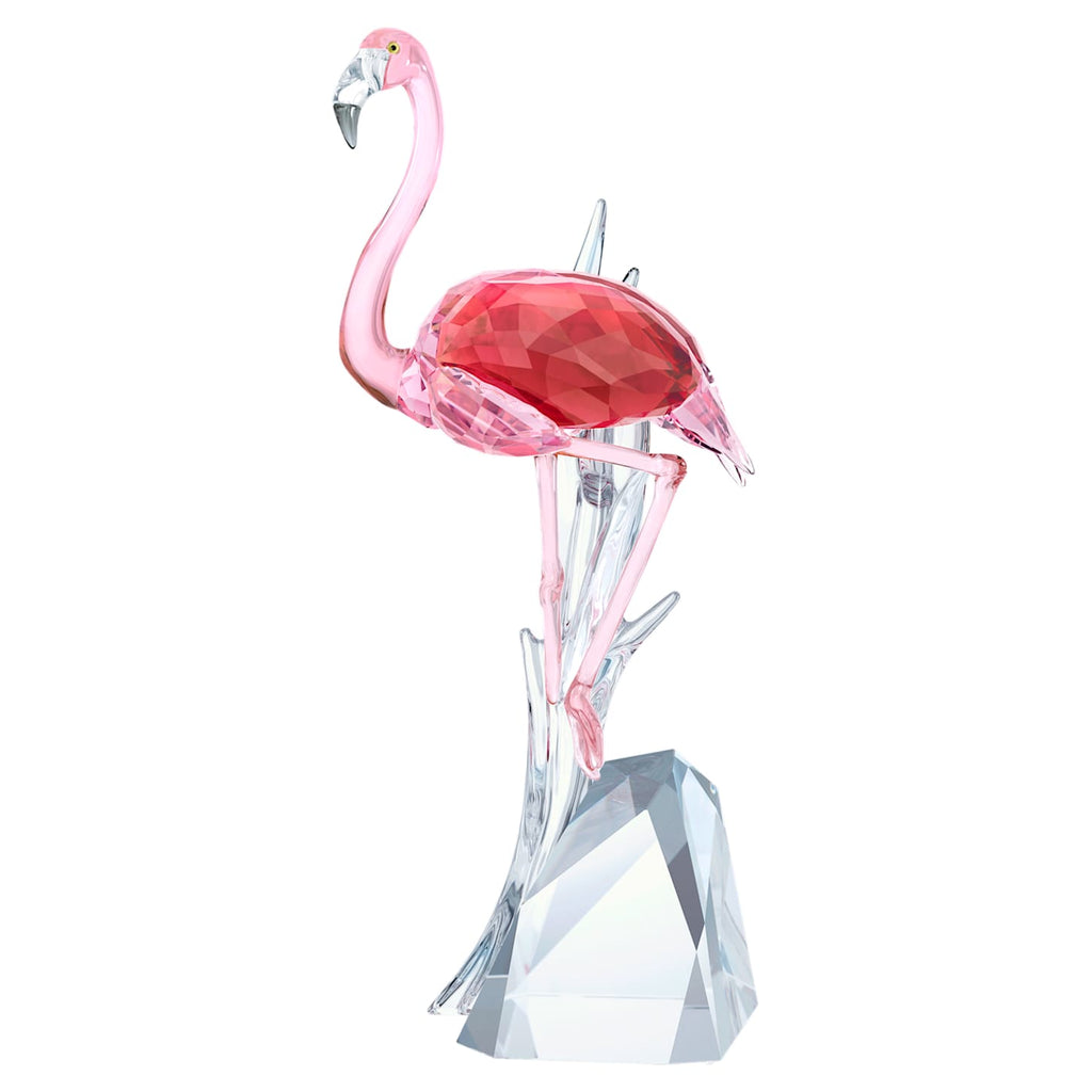 Flamingo - Shukha Online Store