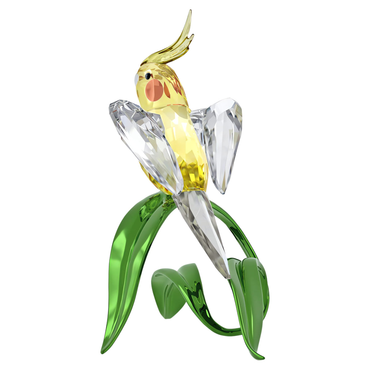 Idyllia Cockatiel | Shukha Online Store