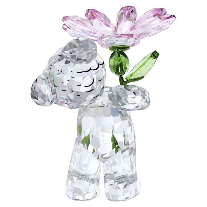 Kris Bear A Daisy for You - Shukha Online Store