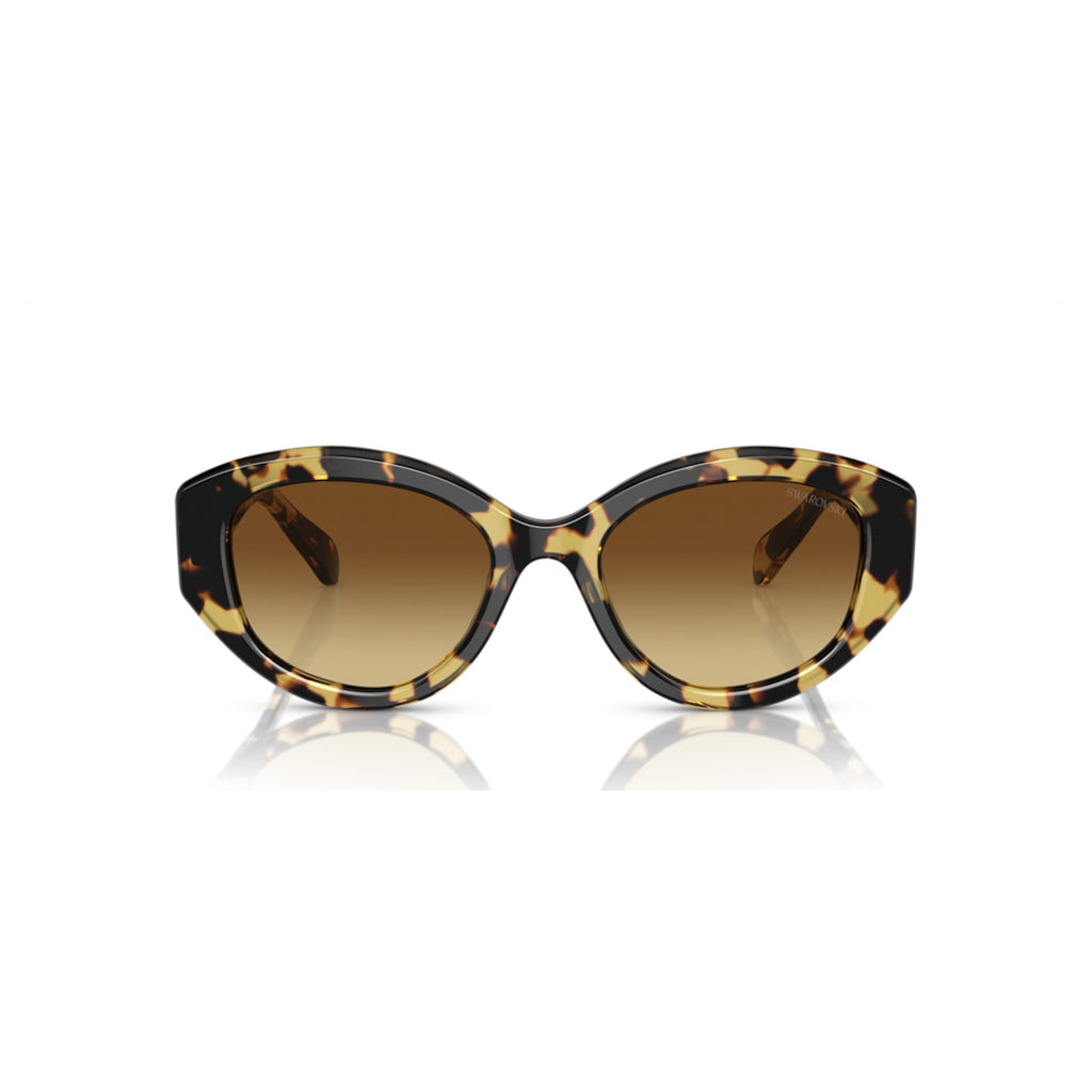 Sunglasses Cat-eye shape, SK6008, Brown - Shukha Online Store