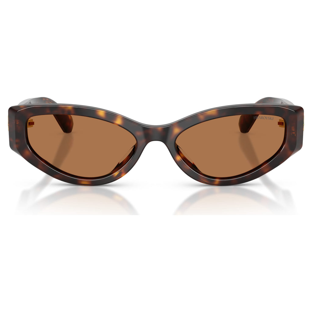 Sunglasses Cat-eye shape, SK6045, Brown - Shukha Online Store