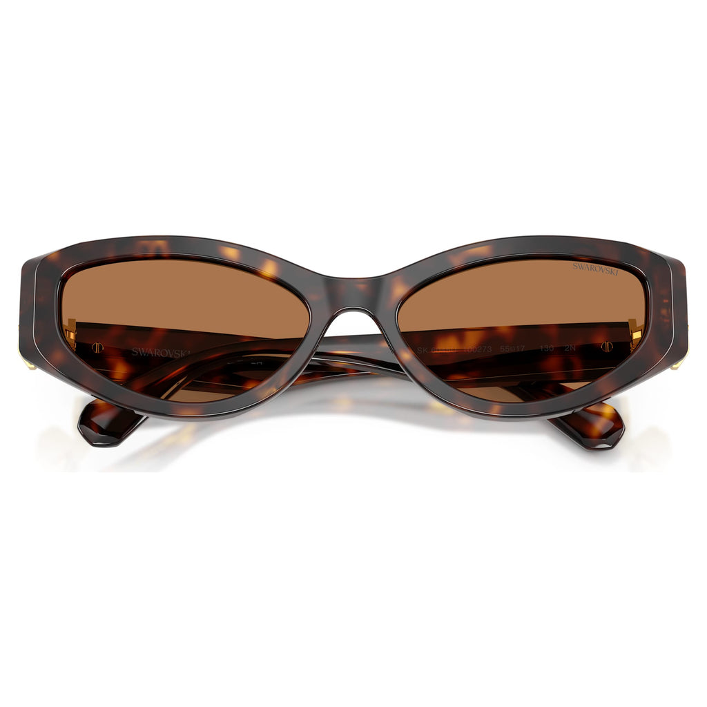 Sunglasses Cat-eye shape, SK6045, Brown - Shukha Online Store