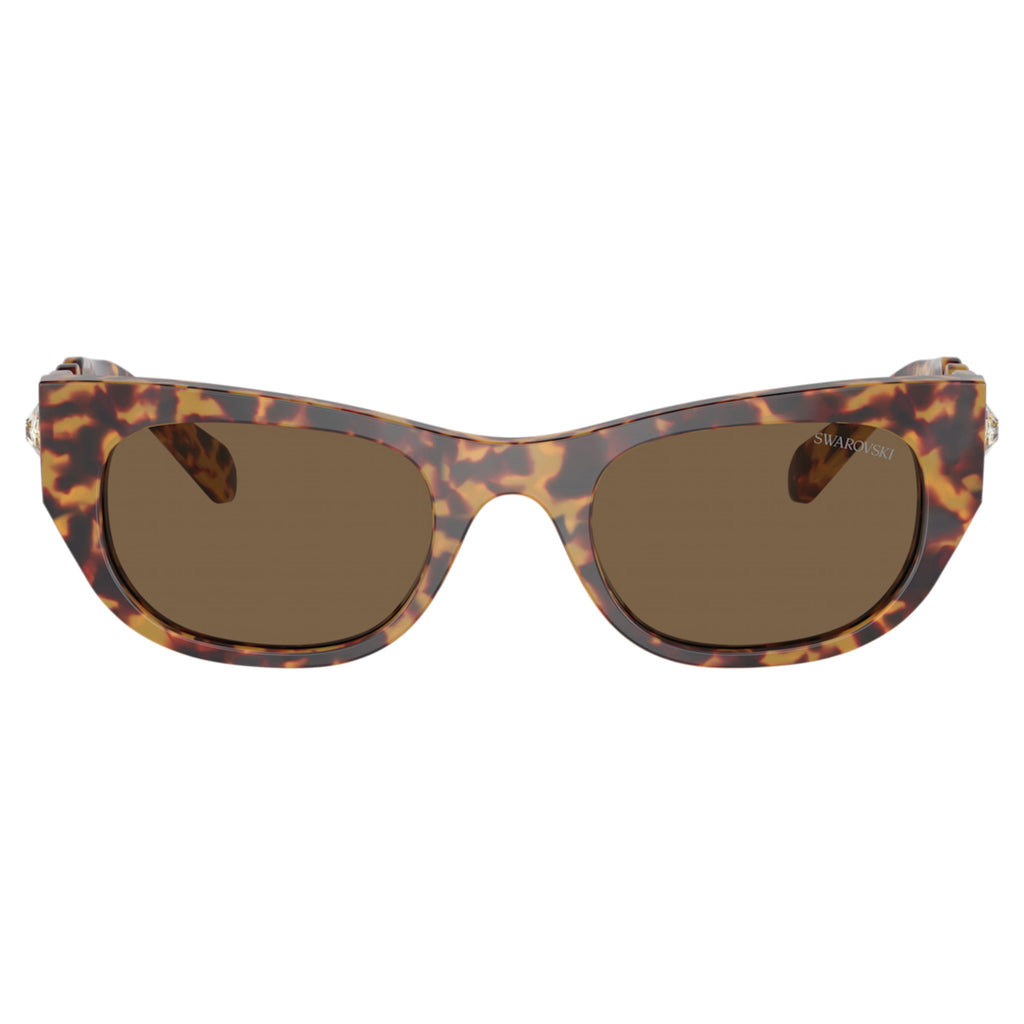 Sunglasses Oval shape, SK6022, Brown - Shukha Online Store