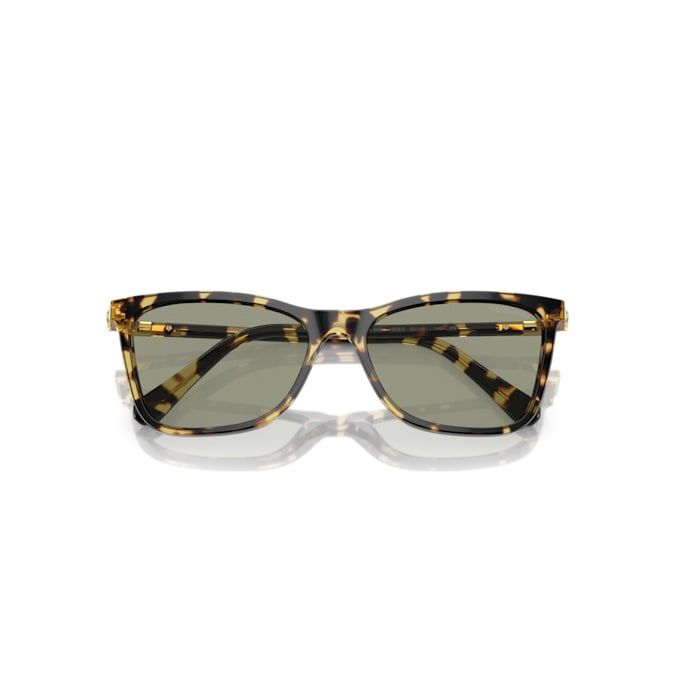 Sunglasses Square shape, SK6004EL, Brown - Shukha Online Store