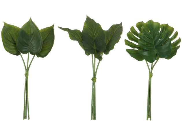 Philodendron Bundle Plastic Green Assortment Of 3 - Shukha Online Store